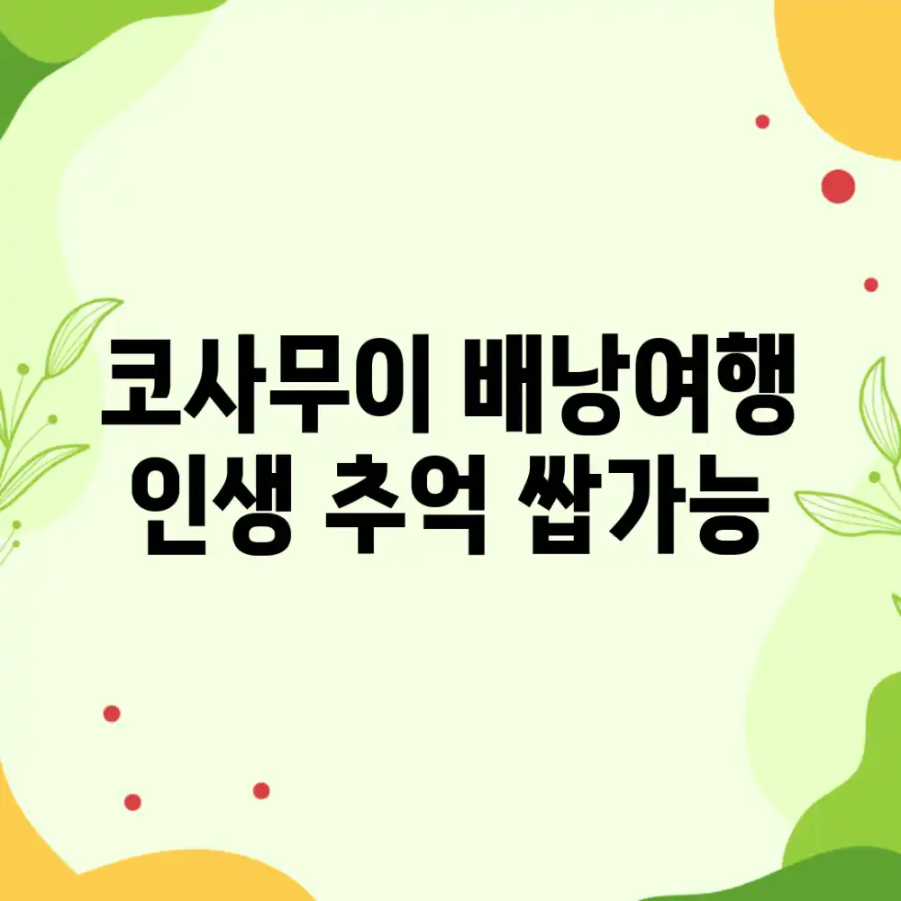 코사무이 배낭여행: 인생 추억 쌉가능!