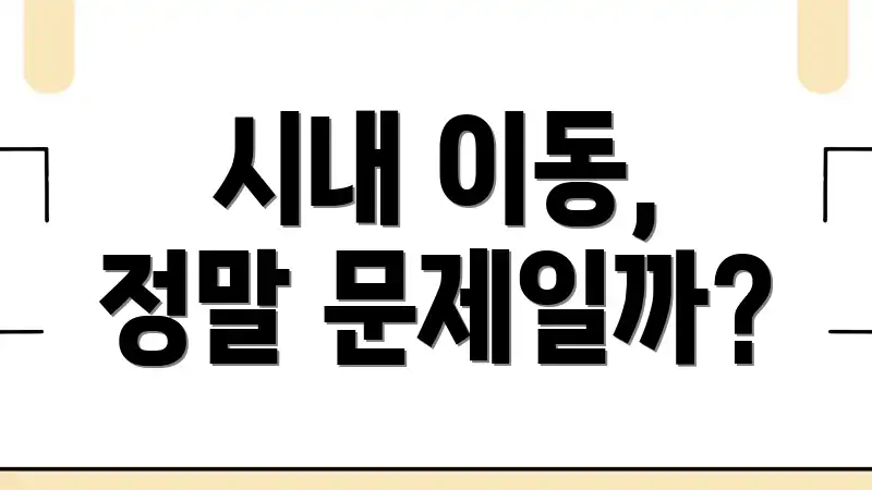 시내 이동, 정말 문제일까?