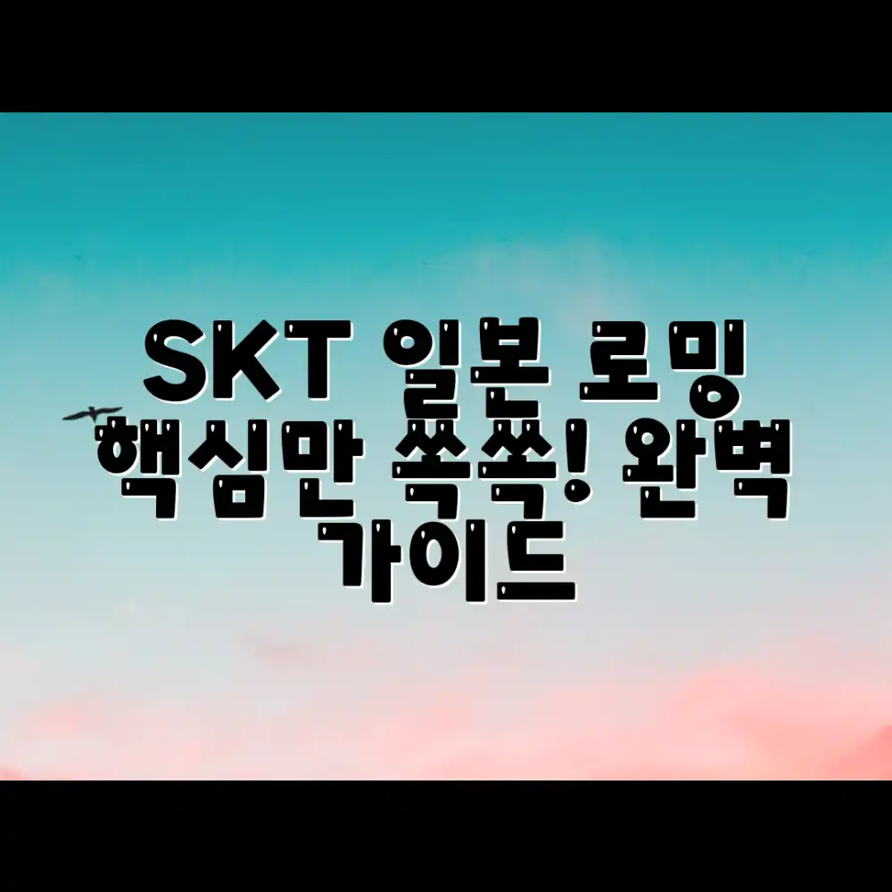 SKT 로밍 일본 여행 완벽 가이드!